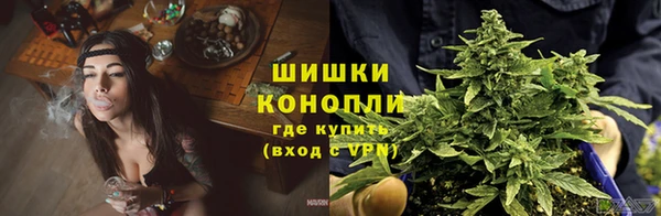 дурь Магас