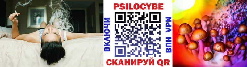 Псилоцибиновые грибы Psilocybine cubensis  что такое   Михайловка 