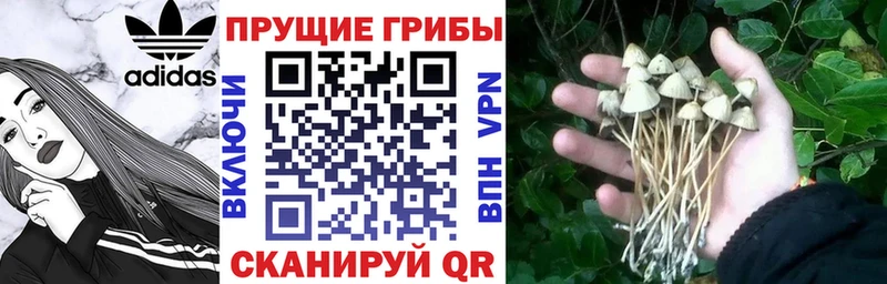 Псилоцибиновые грибы MAGIC MUSHROOMS Михайловка