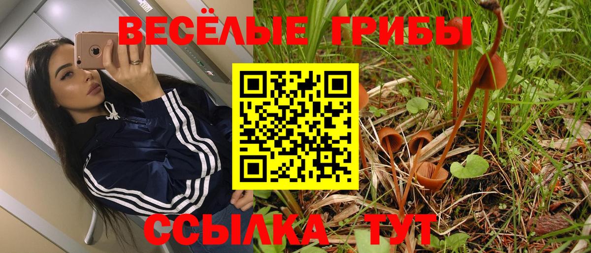 Псилоцибиновые грибы мухоморы  Вход с VPN  Михайловка 