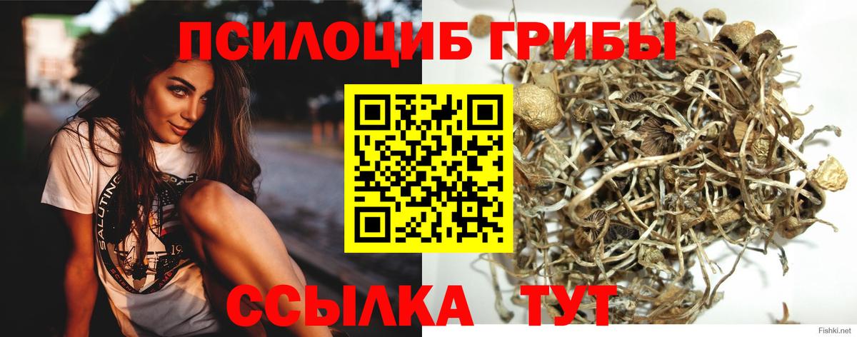Галлюциногенные грибы прущие грибы Михайловка