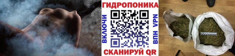 Бошки марихуана Bruce Banner  хочу наркоту  Михайловка 